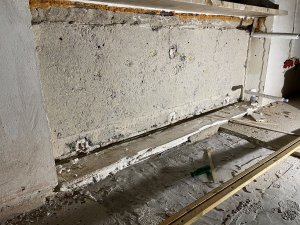 AC35A8FE-85B3-4824-A527-0290056006E4.jpeg
