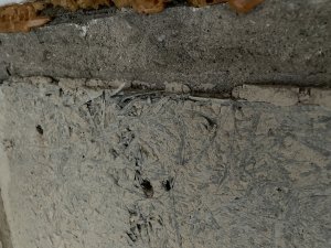 IMG_2614.jpeg
