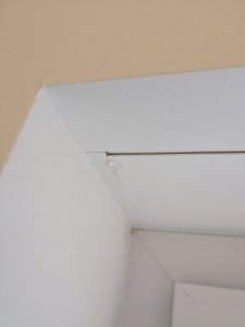 PXL_20230416_050347216.jpg