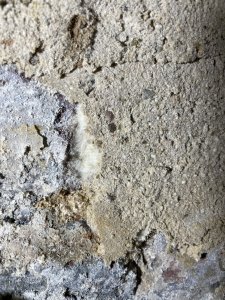 IMG_9803.jpeg