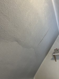 IMG_2843.jpeg