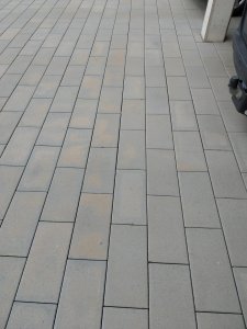 20230418_145634.jpg