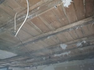 IMG_20230418_193842.jpg