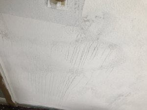 IMG_2099.jpeg