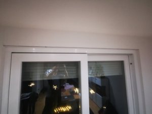 IMG_20230419_222906.jpg