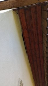 PXL_20230422_135348090.jpg