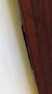 PXL_20230422_135351782.jpg