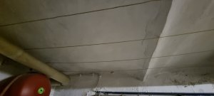 20230423_092448.jpg