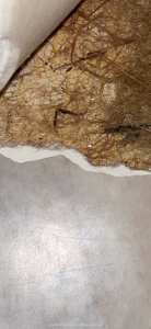 94D29645-6619-452D-A474-3F62EAA8074B.png