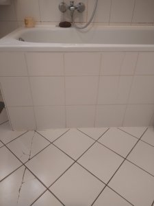 IMG_20230501_163220039.jpg