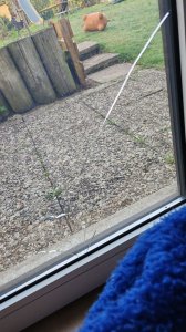 230504, Glasbruch Stemmen.jpg