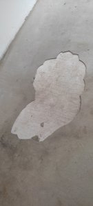 IMG_20230508_162738.jpg