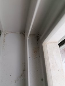 IMG_20230509_171724.jpg