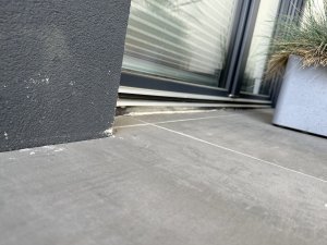 IMG_3979.jpeg