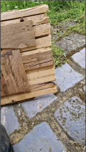 Bildschirmfoto 2023-05-15 um 14.08.56.png