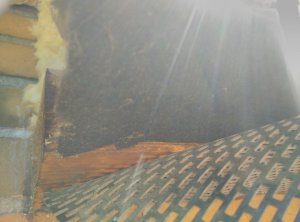 Vlies unter dem Lüftungsgitter.jpg