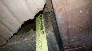 6cm(1).jpg