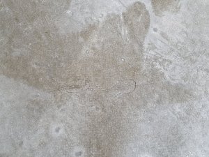 20230523_180214.jpg