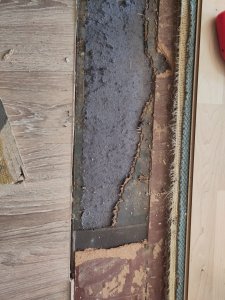 WhatsApp Image 2023-05-28 at 16.47.35(1).jpeg