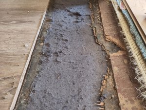 WhatsApp Image 2023-05-28 at 16.47.35.jpeg