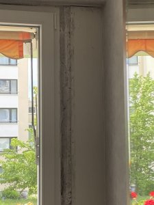 IMG_2411.JPG