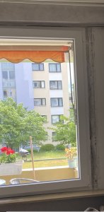 IMG_2409_2.jpg