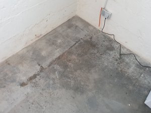 20230602_171203.jpg