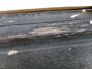 foto (1).jpg