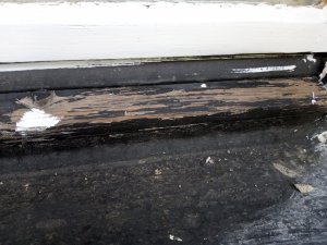 foto (2).jpg