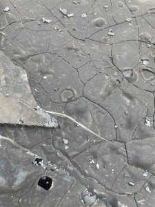 162CF0D5-FB32-41E0-A013-2034C3699E02.jpeg