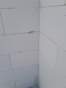 20230611_121444.jpg
