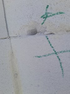 20230611_121244.jpg