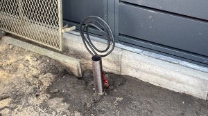 IMG_3303.jpeg