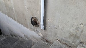 PXL_20230313_155101438 (Groß).jpg