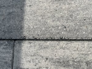 4DB3752F-F268-4E56-B198-6F81C7FA4D72.jpeg