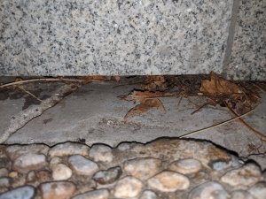 IMG_20230618_213606.jpg