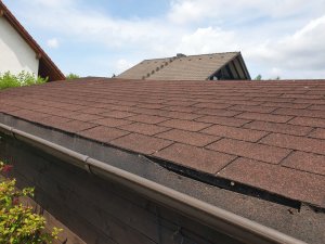 WhatsApp Image 2023-06-19 at 11.52.23 (2).jpeg