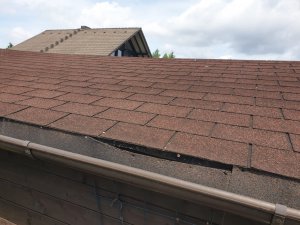 WhatsApp Image 2023-06-19 at 11.52.24 (1).jpeg