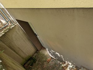 PXL_20230620_092035065.jpg