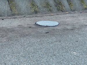IMG_6574.jpeg