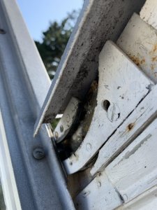 IMG_7950.jpeg
