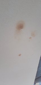 20230626_192842.jpg