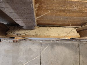 IMG_20230629_184252.jpg