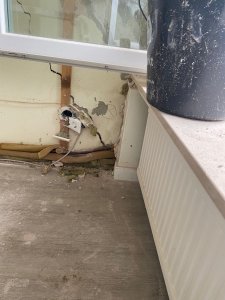 WhatsApp Bild 2023-07-34.jpg