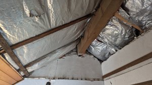 PXL_20230703_160347842.jpg