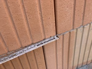 IMG_5516.jpeg