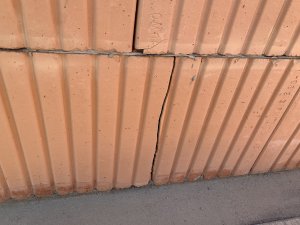 IMG_5372.jpeg