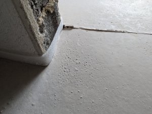 PXL_20230427_140943845.jpg
