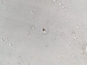 PXL_20230427_141306170.jpg