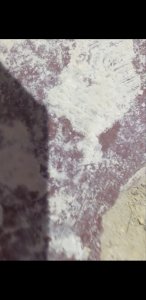 photo_2023-07-08_16-30-09 (2).jpg